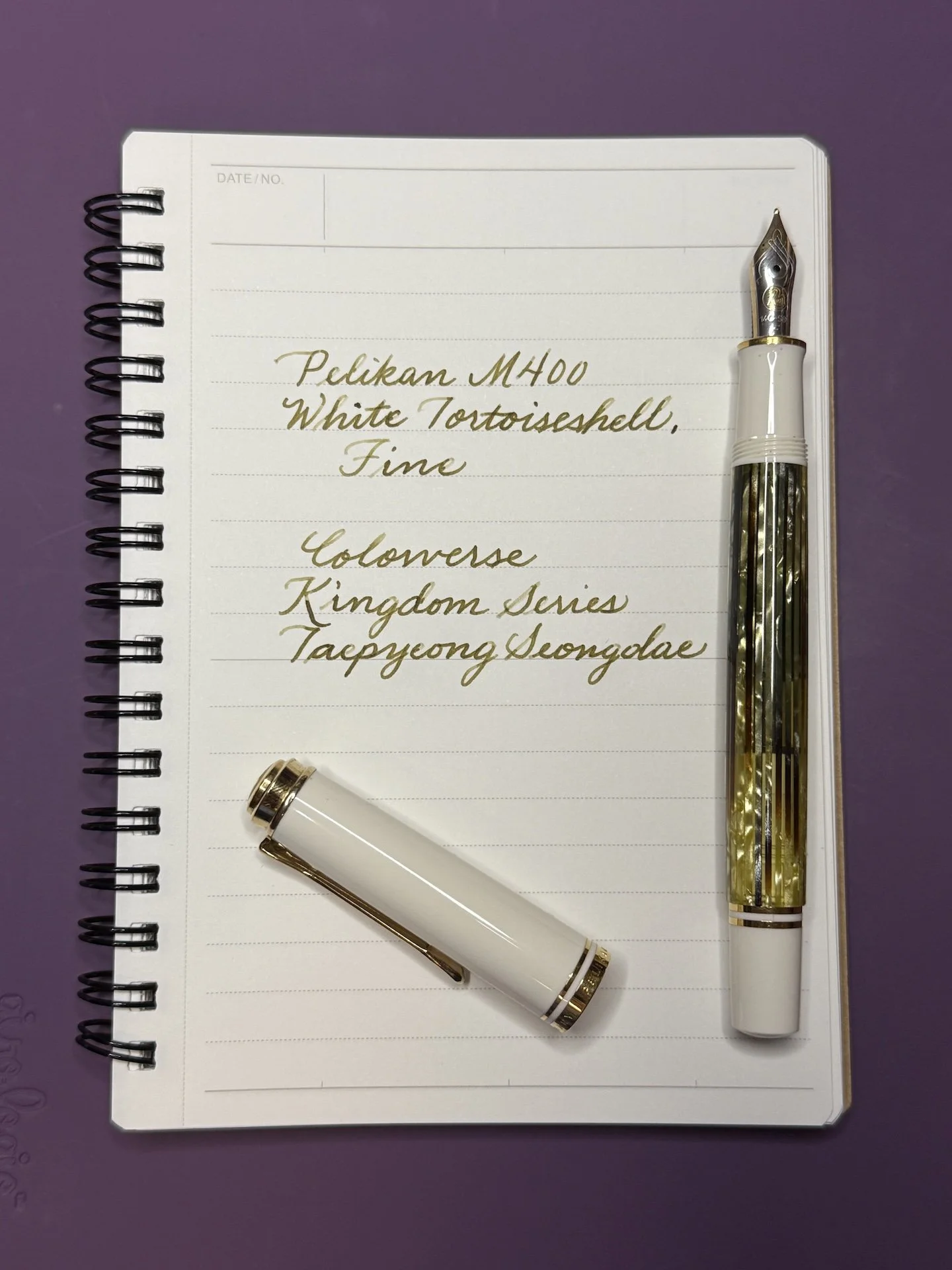 Inked Up for the 2025 Pelikan Hub — The Pen Addict